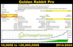 Golden-Rabbit-Pro-EA-MT5-Backtest.jpg