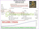 Golden Beats EA MT4 backtest 1
