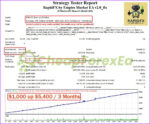 RapidFX by Empire Market EA MT4 balance 1000 backtest
