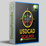 USDCAD Scalper EA MT4 logo