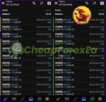 EA Black Dragon live trading