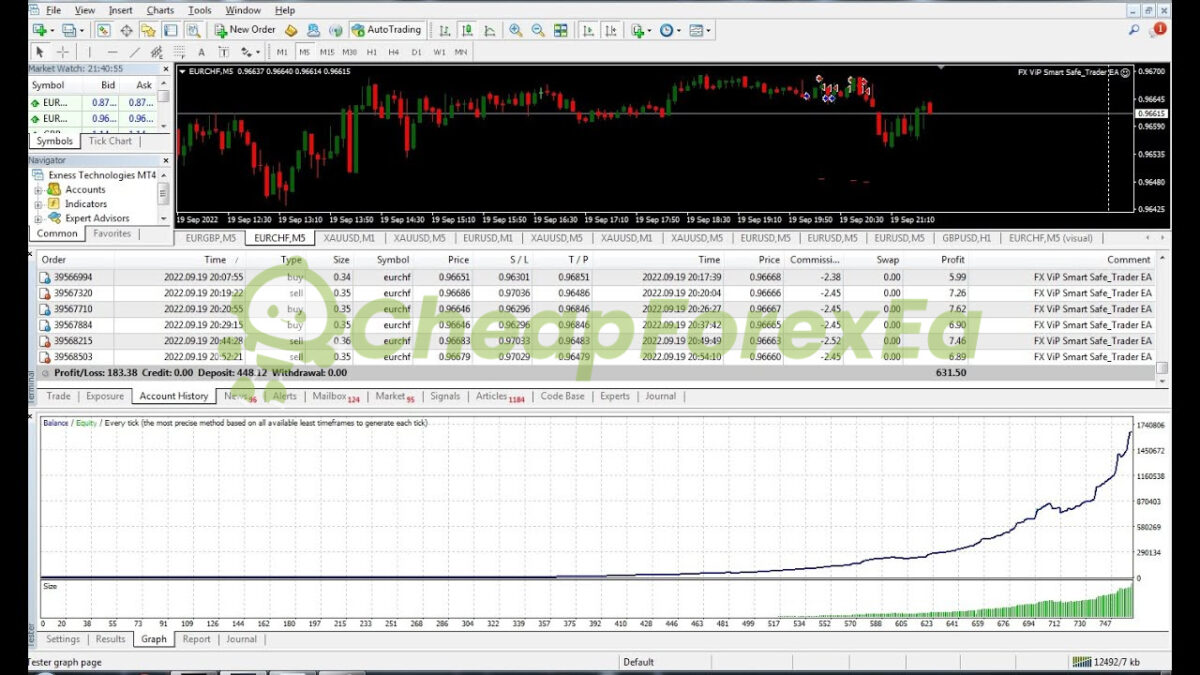 Forex ViP SMART SAFE TRADER EA MT4 Backtest
