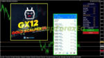 Gold Scalper Ea v4 MT4 Review
