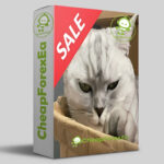 Hunting Cat Scalper EA MT4 Logo