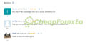 Hunting Cat Scalper EA MT4 Review on MQL5