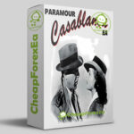 PARAMOUR CASABLANCA EA MT4 Logo