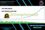 Quantum Trade EA MT4 Backtest