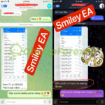 Smiley 75 EA MT5 Expert Advisor Live Signal