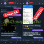 Smiley 75 EA MT5 Expert Advisor Signal