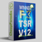 WINNER FX TSR Prop Firms EA MT4 logo