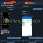 Alpha Striker V4 Source Code MQ4 FeedBack