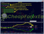 Dynamic Forex28 Navigator MT4 02