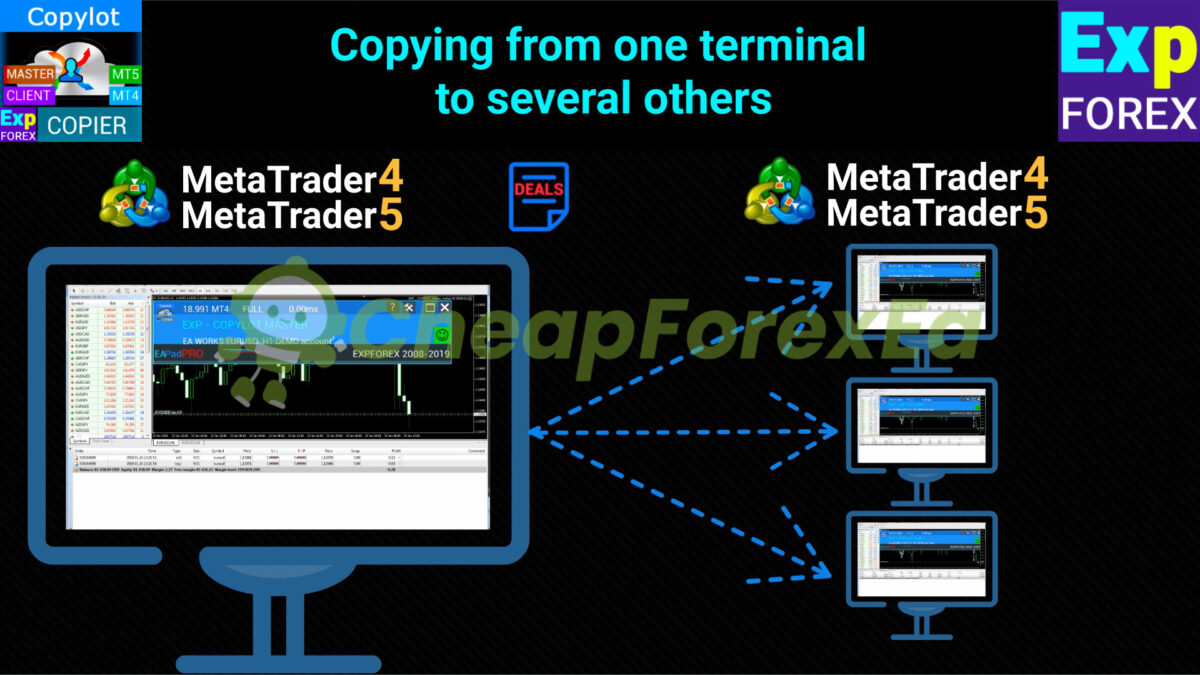 Exp COPYLOT MASTER AND COPYLOT CLIENT EA MT4 Review