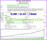 Forex Fury EA MT4 Backtest