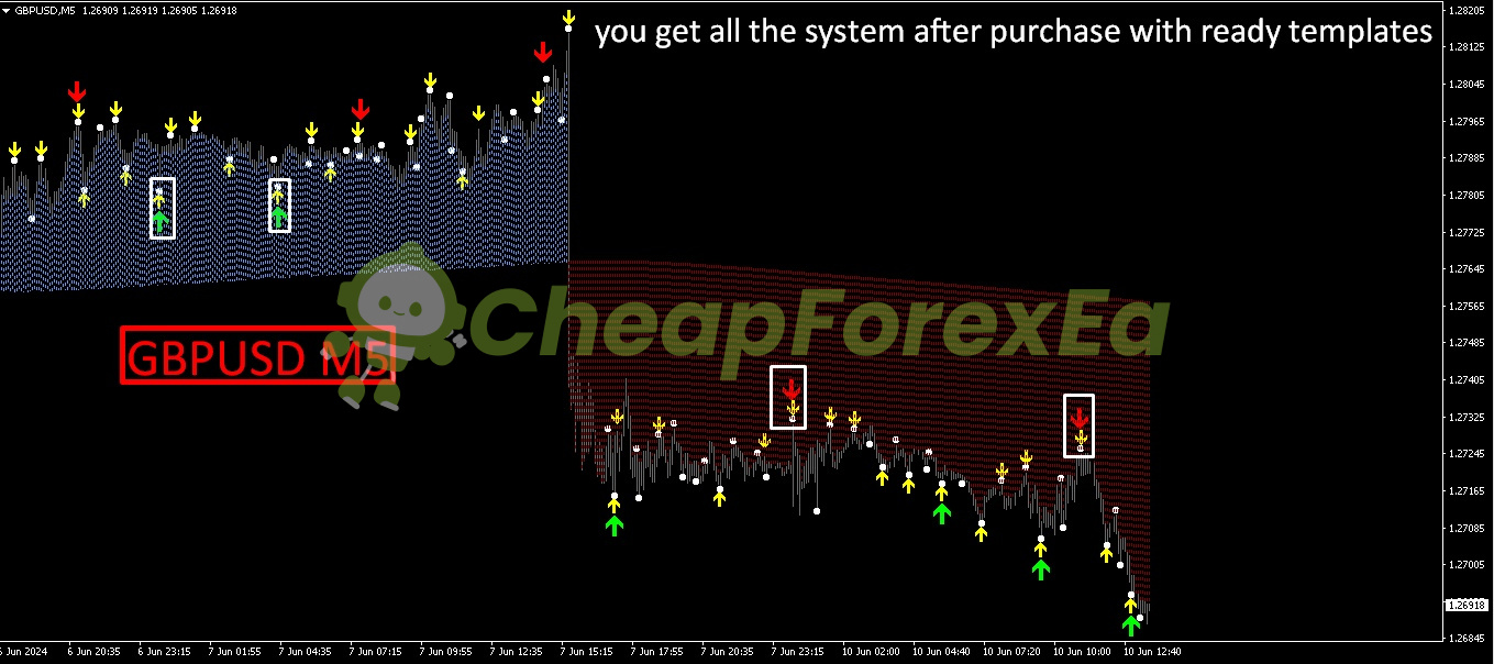 Max Paynex Indicator MT4 on chart 1