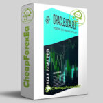 Oracle Scalper Indicator EaManager MT4 Logo
