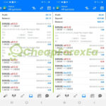RAPID PIP ENGINE EA 2024 MT4 Live Signal