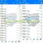 SHARK PRO EA MT4 Live Signal