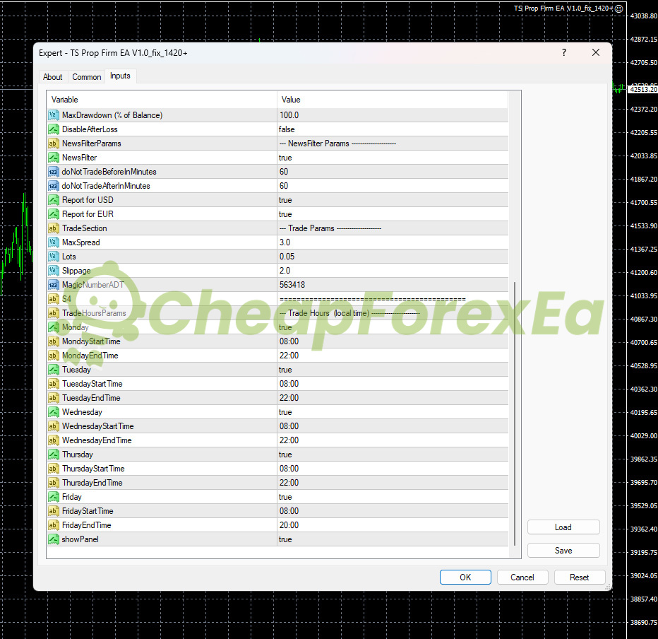 TS Prop Firm EA MT4 input parameters page 2