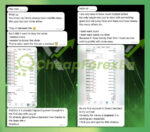 WinX EA MT4 user feedback