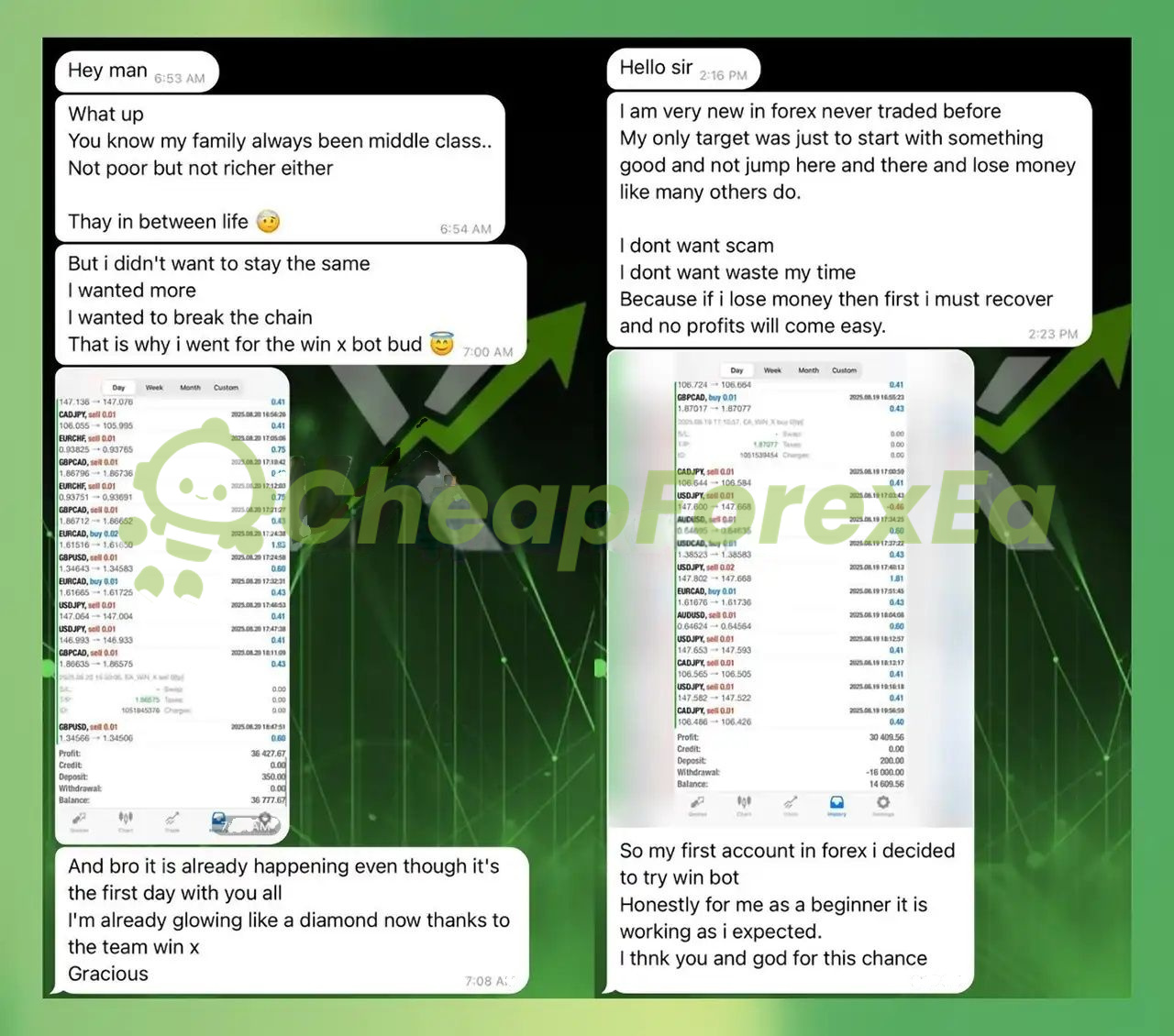 WinX EA MT4 user feedback