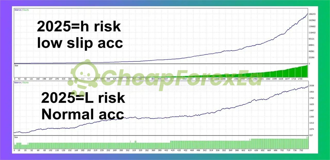 Jesko EA backtest comparison - High Risk 736% vs Low Risk 117% growth curves