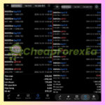 Gold-killer-v16-Pro-MT5-Trading-Results