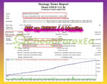 Money-GOLD-EA-MT4-Backtest