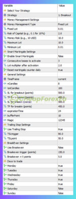 The-Breaker-EA-MT5-Settings-Panel
