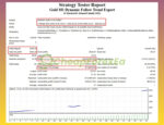 gold-m1-dynamic-follow-trend-expert-mt4-test