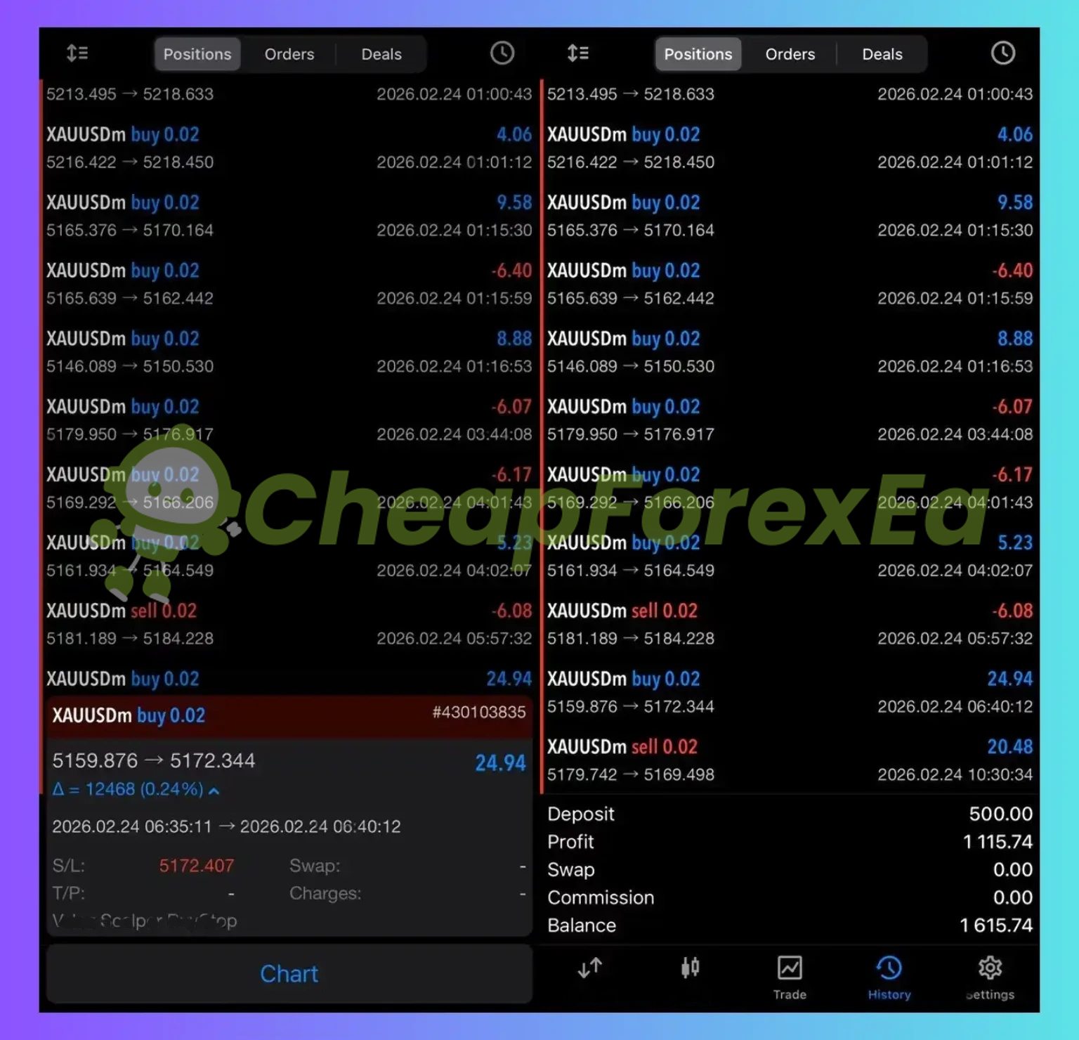 Veloz Scalping Bot EA live trading results - XAUUSDm $500 to $1615 account statement February 2026