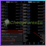 YUVI-FX-TRADER-NEXORA-EA-Trading-Results