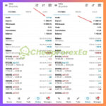 Zyphron-EA-Trading-Results