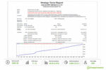 gold-pip-miner-ea-strategy-tester-results-1000-deposit